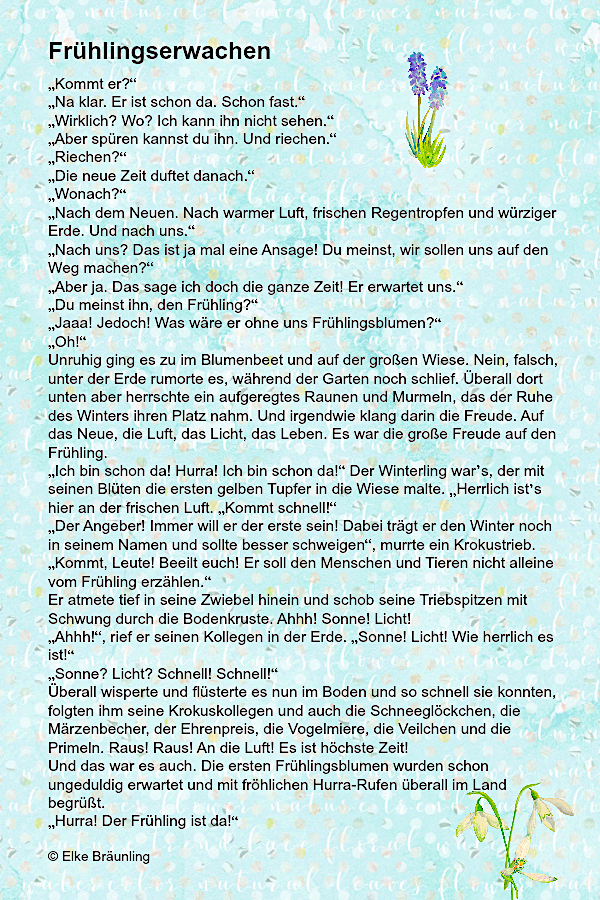 Frühlingserwachen – Elkes Kindergeschichten