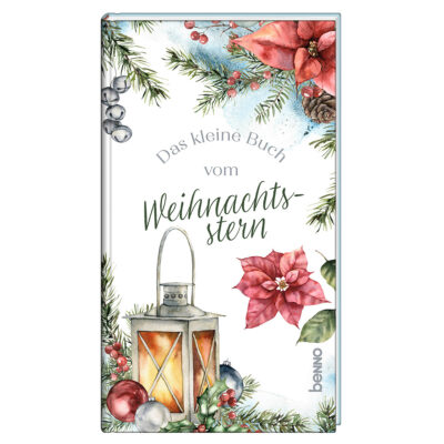 Geschichte vom der Blume Weihnachtsstern | Winterzeit